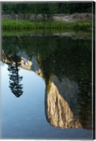 Reflection of El Capitan in Mercede River, Yosemite National Park, California - Vertical Fine Art Print