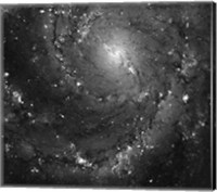 Hubble Space Telescope Imaging of Hot Gas and Star Birth in M101 Fine Art Print