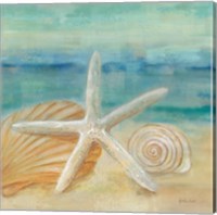 Horizon Shells I Fine Art Print