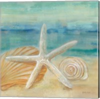 Horizon Shells I Fine Art Print