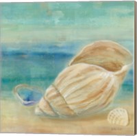 Horizon Shells II Fine Art Print