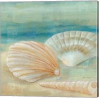 Horizon Shells IV Fine Art Print