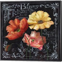 Flowers in Bloom Chalkboard II Fine Art Print