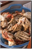 Dungeness Cooked Crab, Queen Charlotte Islands, Canada Fine Art Print