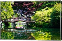 British Columbia, Vancouver, Hately Gardens bridge Fine Art Print