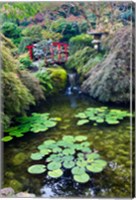 Red Bridge, Autumn Color, Butchard Gardens, Victoria, British Columbia, Canada Fine Art Print