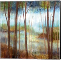 Soft Forest II Fine Art Print