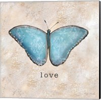 Butterfly Expressions II Fine Art Print