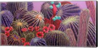 Barrel Cactus 1 Fine Art Print