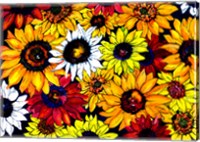 Sunflower Mix Fine Art Print