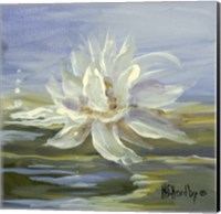 Water Lillies 3 Fine Art Print