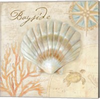 Nautical Shells II Fine Art Print