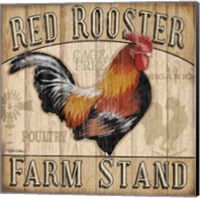 Country Rooster I Fine Art Print