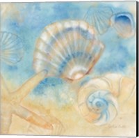 Watercolor Shells II Fine Art Print