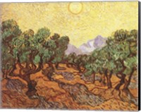 The Olive Trees, c.1889 Fine Art Print