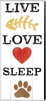 Live Love Sleep Fine Art Print