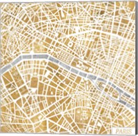 Gilded Paris Map Fine Art Print