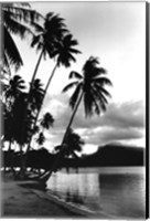 Dreaming of the South Seas, Society Islands, French Polynesia Fine Art Print