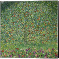 Apple Tree  I, 1912 Fine Art Print