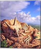 Bones of a Triceratops Fine Art Print