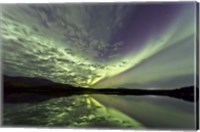 Aurora Borealis over Schwatka Lake Fine Art Print