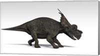 Achelousaurus dinosaur Fine Art Print