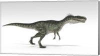 Monolophosaurus Dinosaur Fine Art Print