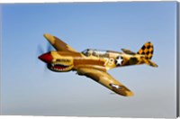 P-40N Warhawk Fine Art Print