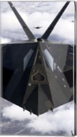 The F-117A Nighthawk Fine Art Print