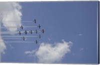 Team RV Aerobatics Fine Art Print