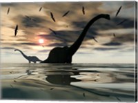 Diplodocus Dinosaurs Fine Art Print
