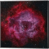 The Rosette Nebula Fine Art Print
