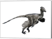 Troodon Dinosaur Fine Art Print