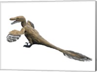 Velociraptor Mongoliensis Fine Art Print