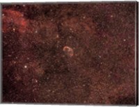 The Crescent Nebula Fine Art Print