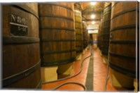 Large Oak tanks holding wine, Bodega Muga Winery, Haro village, La Rioja, Spain Fine Art Print