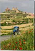 Blue tractor on rural road, San Vicente de la Sonsierra Village, La Rioja, Spain Fine Art Print