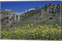 Wildflowers in El Tajo Gorge and Punte Nuevo, Ronda, Spain Fine Art Print