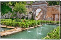 The Generalife gardens, Alhambra grounds, Granada, Spain Fine Art Print