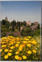 Spain, Granada The Generalife gardens, Alhambra grounds Fine Art Print