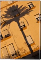Spain, Cadiz, Campo del Sur, Palm Shadow Fine Art Print