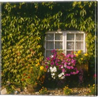 Cottage, Devon, England Fine Art Print