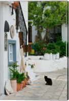 Street View with Black Cat, Manolates, Samos, Aegean Islands, Greece Fine Art Print