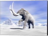 Large Mammoth Walking Slowly on the Snowy Mountain Fine Art Print