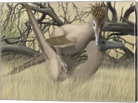 Two Velociraptor's during MatingSseason Fine Art Print