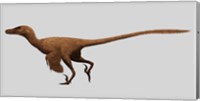 Velociraptor Mongoliensis from the Cretaceous Period Fine Art Print
