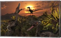 A Group of Feathered Carnivorous Velociraptors Fine Art Print
