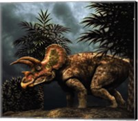 Triceratop, Herbivorous Dinosaur from the Cretaceous Period Fine Art Print