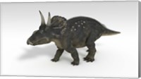 Triceratops Dinosaur 3 Fine Art Print