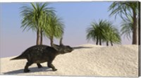 Triceratops Walking in a Tropical Environment 3 Fine Art Print